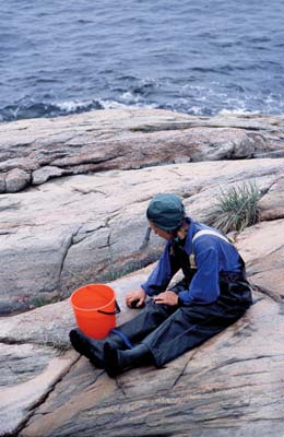 foto Sissel Jørgensen